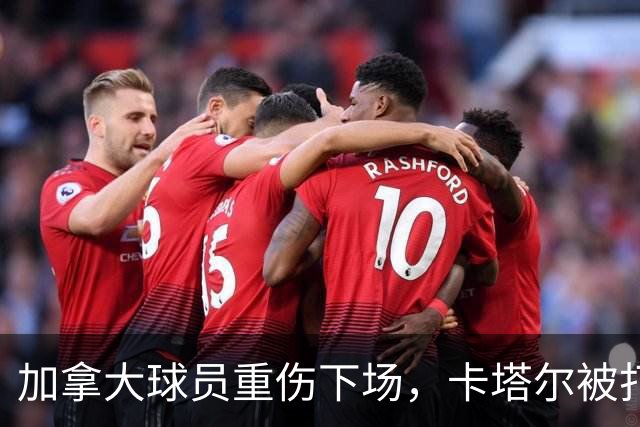 加拿大球员重伤下场，卡塔尔被打爆，“输球又输人”