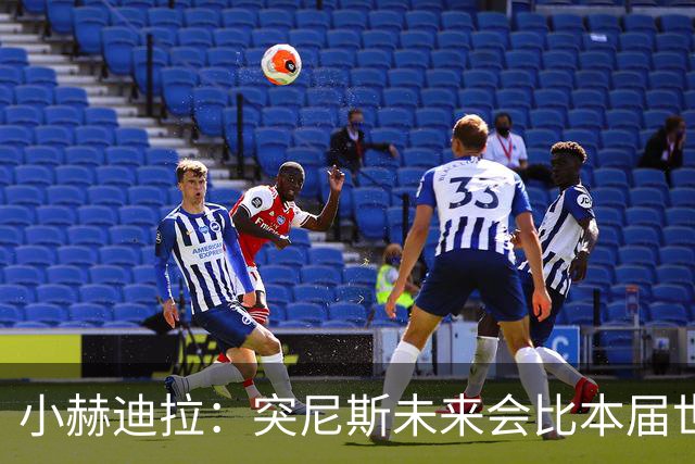 小赫迪拉：突尼斯未来会比本届世界杯更好 批评？我已经付出全力